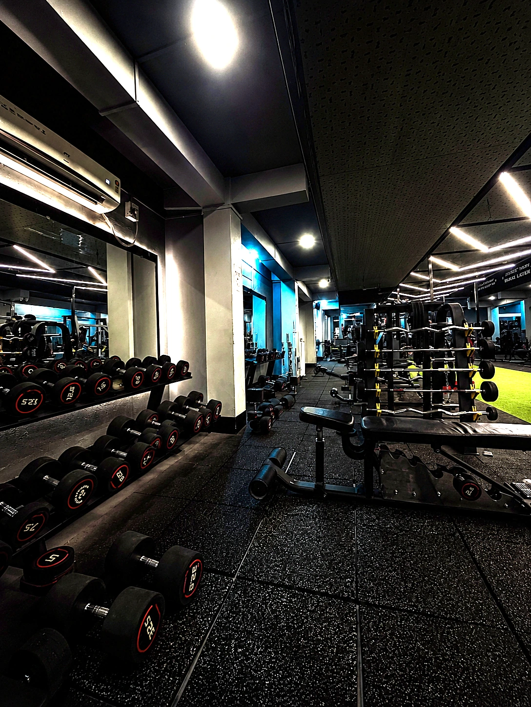 Free weights and dumbbells section